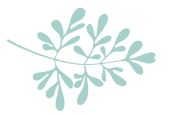 image vecto feuille