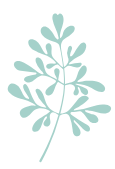 image vecto feuille